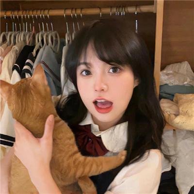 锦上添娇又逢春